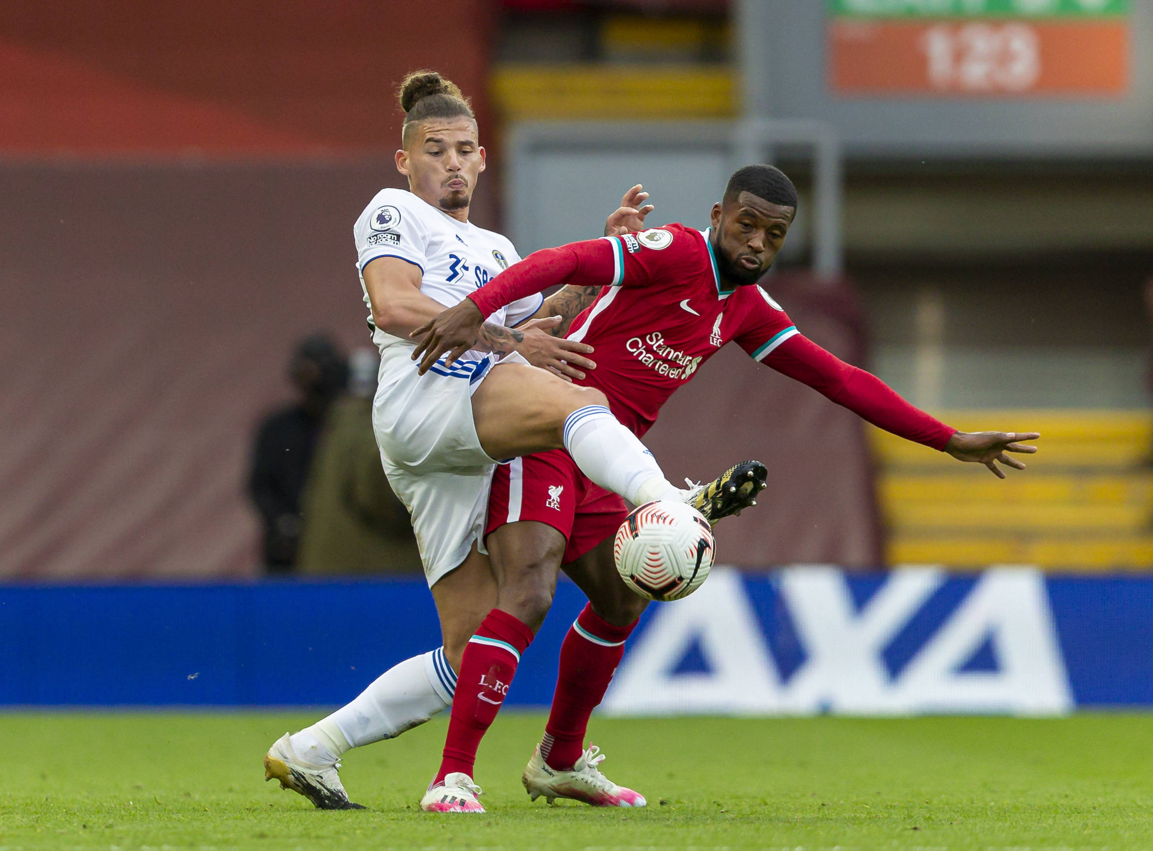 他们又将如 他们又将如