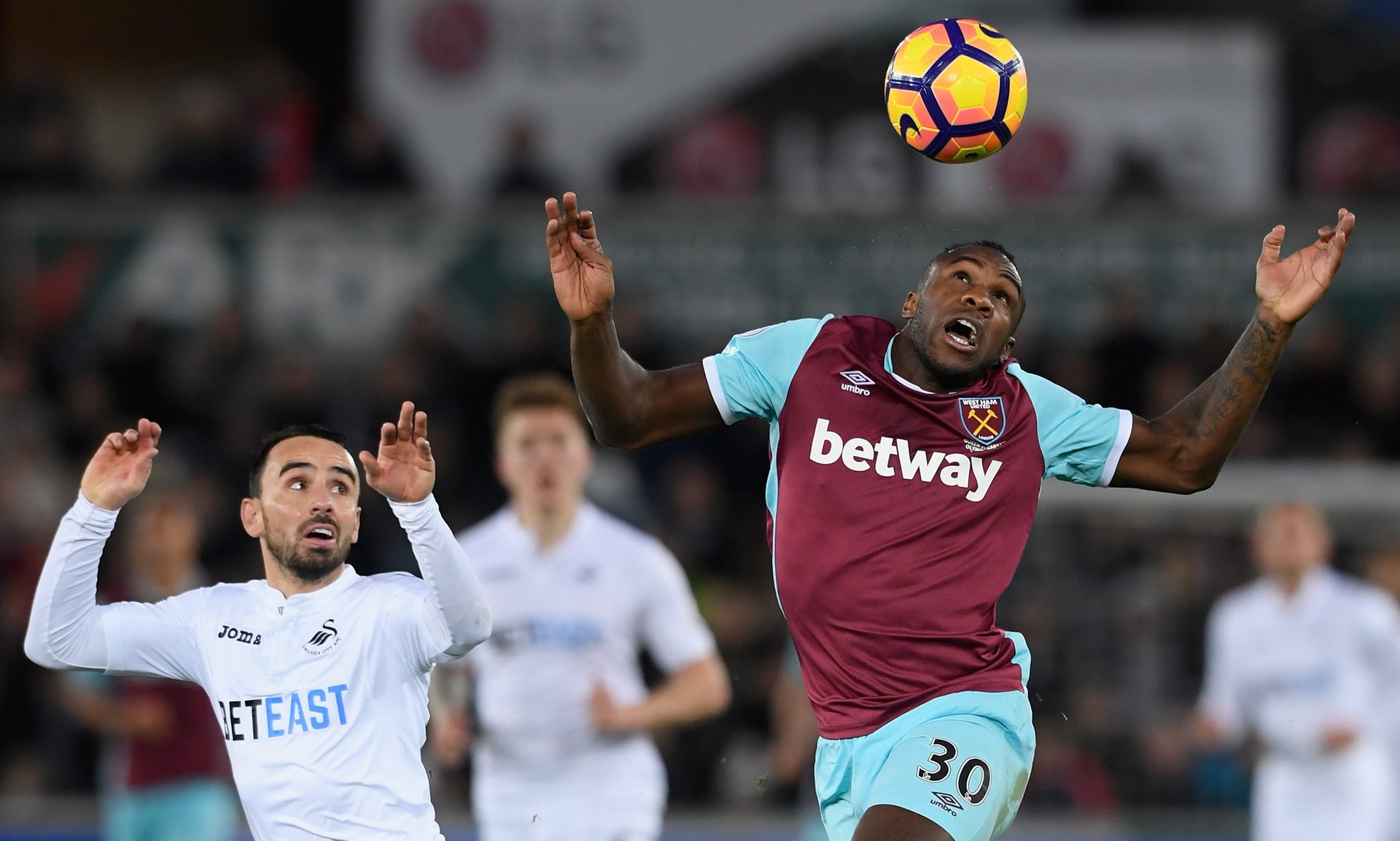 哈达献给香 哈达献给香